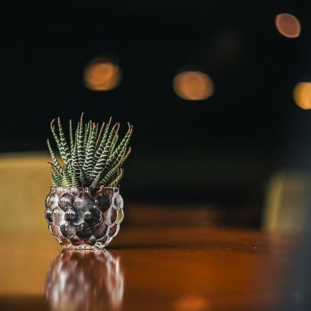 Portal Plaza Suites Mendoza Dış mekan fotoğraf