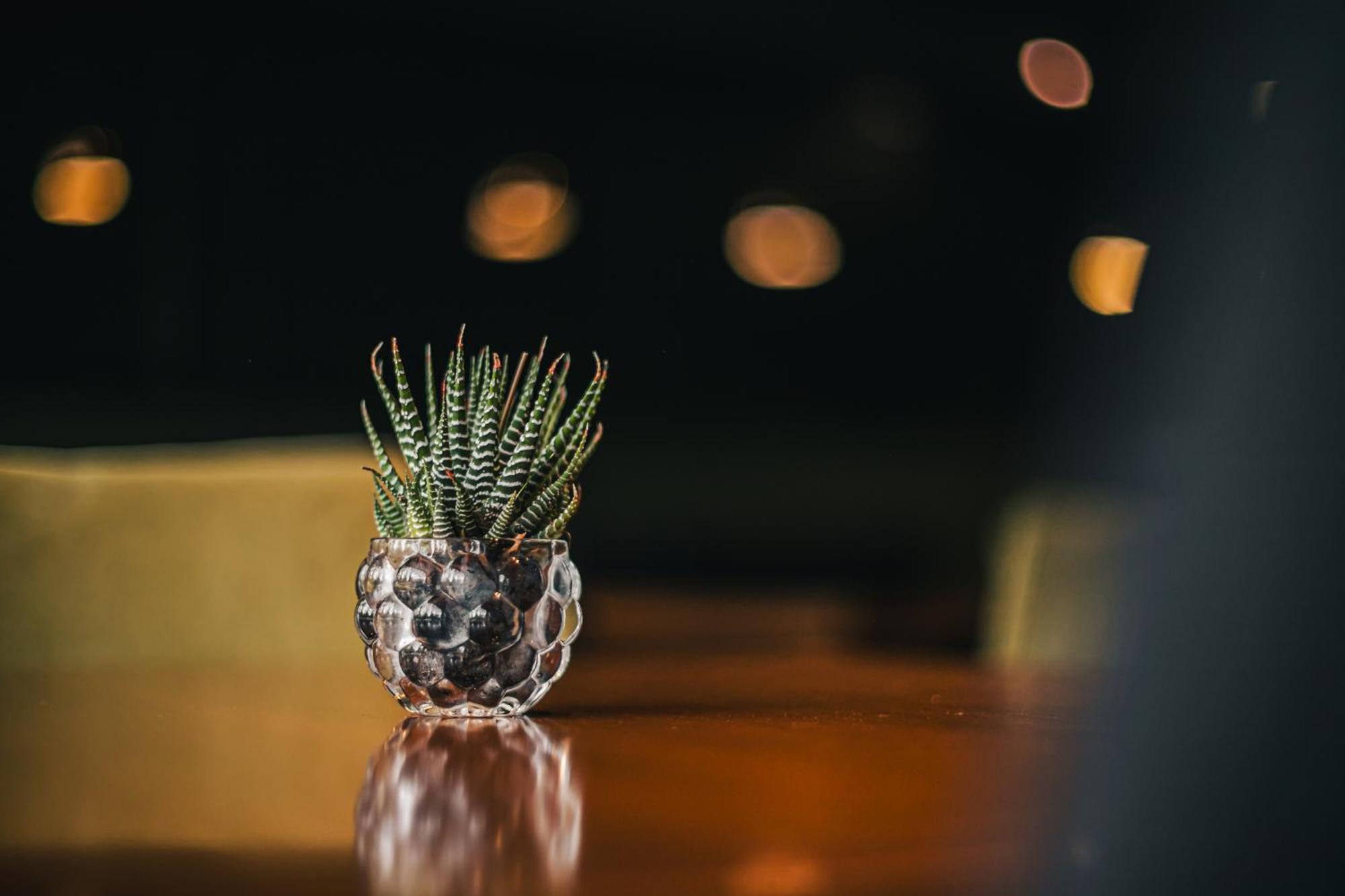 Portal Plaza Suites Mendoza Dış mekan fotoğraf